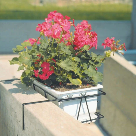 Balconiera Regolabile Tulipano Portavaso Rettangolare In Ferro Battuto Fioriera Made In Italy -50 Cm 3 Balconiera Regolabile Tulipano Portavaso Rettangolare In Ferro Battuto Fioriera Made In Italy -50 Cm - immagine 3