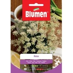 Blumen Anice