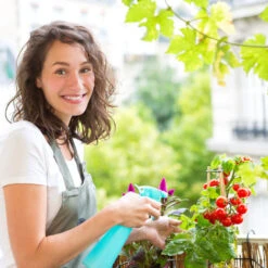 Relaxdays Mini Serra, In PVC, Ad Incastro, Tetto Spiovente, Da Esterno, Letto Caldo, HLP: 60 X 120 X 60 Cm, Trasparente -Vendite VIDAXL 12288060 3