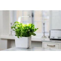 Tregren T3 orto Di Interno Collegato 3 Piante, Kit Pronto A Spingere E Fioriera Libera Installazione Per Erbe Aromatiche, Piccoli Verdura, Fiori – Coltiva Con Vostro Applicazione Smartphone – Bianco -Vendite VIDAXL 12843471 5