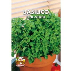 Basilico Fine Verde (Semente)