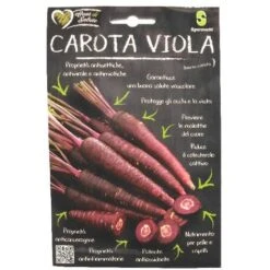 Cuor Di Salute Semi Di Carota Viola Sgaravatti
