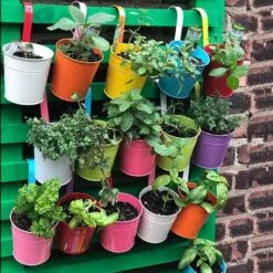 Set 10 Vasi Porta Fiori In Ferro 17x10x8 Con Foro Drenaggio E Gancio Rimovibile -Vendite VIDAXL 28458281 3