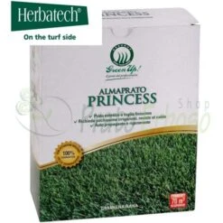 Almaprato Princess - Sementi Per Prato Di Gramigna Nana Da 500 Gr