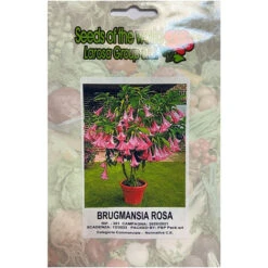 Brugmansia Rosa (Semente)