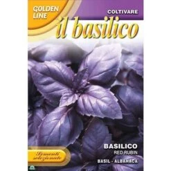 SEMENTI DI BASILICO VIOLA RED RUBIN Viola Orto Semi Seeds Giardino