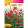 SEMENTI DI PAPAVERO RHOEAS SEMPLICE ROSSO Orto Giardino Semi Seeds Fiori