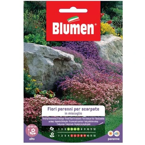 SEMI FIORI PERENNI PER SCARPATE IN MIX BLUMEN 1 SEMI FIORI PERENNI PER SCARPATE IN MIX BLUMEN