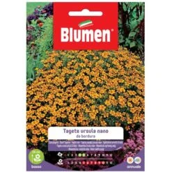 SEMI TAGETE URSULA NANO DA BORDURA BLUMENA SEMENTI FIORI