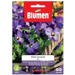 SEMI VIOLA CORNUTA BLU BLUMEN