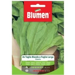 SEMI CICORIA TAGLIO BIONDA FOGLIA LARGA BLUMEN