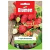 SEMI FRAGOLE RAMPICANTI BLUMEN