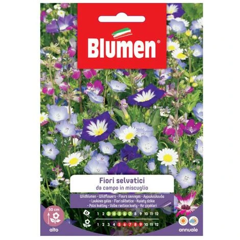 SEMI FIORI SELVATICI DA CAMPO MIX BLUMEN 1 SEMI FIORI SELVATICI DA CAMPO MIX BLUMEN
