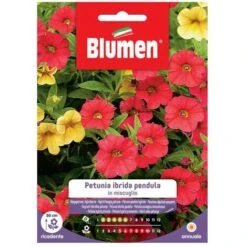 SEMI PETUNIA HYBRIDA PENDULA MIX BLUMEN