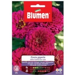 SEMI ZINNIA GIGANTE ROSA CALIFORNIA BLUMEN SEMENTI FIORI