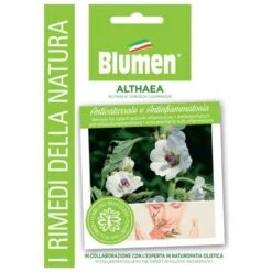 SEMI ALTHEA BLUMEN