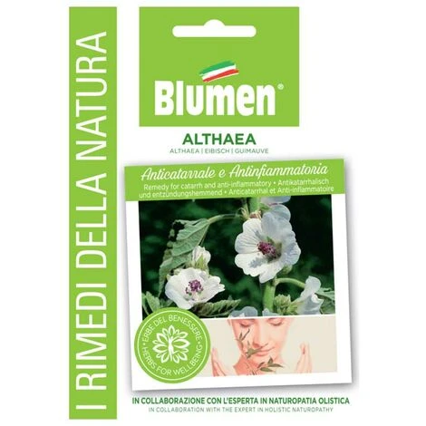 SEMI ALTHEA BLUMEN 1 SEMI ALTHEA BLUMEN