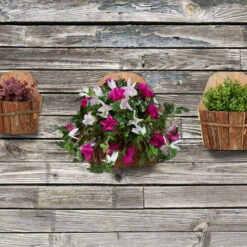 Relaxdays Porta Vasi Da Parete, Set Triplo, Fioriera Sospesa In Legno Naturale, Esterni, Decorazione Da Muro, Naturale -Vendite VIDAXL 29284946 5