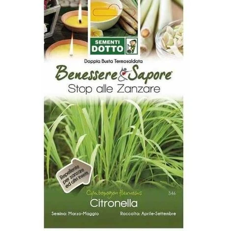 Semi Di Citronella - Sementi Dotto 1 Semi Di Citronella - Sementi Dotto