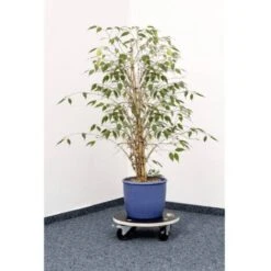 Metafranc WU0822040 Piattaforma Con Ruote Capacità Di Carico (max.): 200 Kg 380 Mm X 110 Mm Numero Ruote Di Guida 4 9 Metafranc WU0822040 Piattaforma Con Ruote Capacità Di Carico (max.): 200 Kg 380 Mm X 110 Mm Numero Ruote Di Guida 4 -Vendite VIDAXL 30157021 5