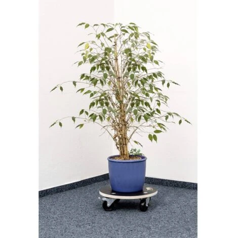 Metafranc WU0822040 Piattaforma Con Ruote Capacità Di Carico (max.): 200 Kg 380 Mm X 110 Mm Numero Ruote Di Guida 4 5 Metafranc WU0822040 Piattaforma Con Ruote Capacità Di Carico (max.): 200 Kg 380 Mm X 110 Mm Numero Ruote Di Guida 4 - immagine 5