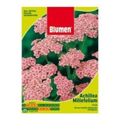 SEMENTI DI ACHILLEA MILLEFOLIUM ROSA Giardino Semi Seeds Fiori Aiuole Blumen