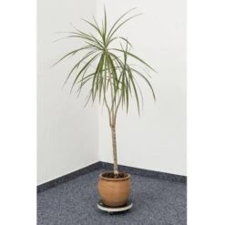 Metafranc WU0822030 Piattaforma Con Ruote Capacità Di Carico (max.): 100 Kg 200 Mm X 52 Mm Numero Ruote Di Guida 3 -Vendite VIDAXL 30642960 3