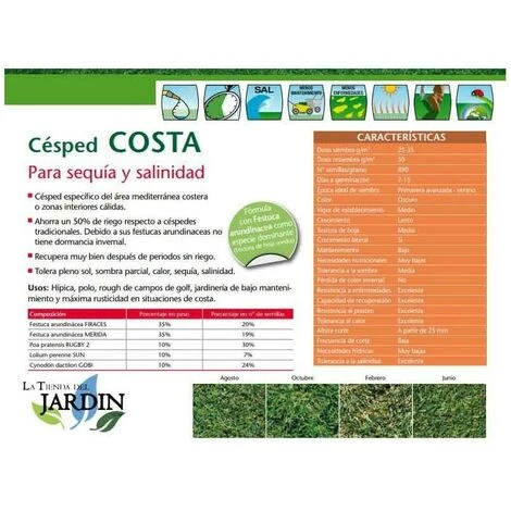 Semi Di Erba Costa 1 Kg 2 Semi Di Erba Costa 1 Kg - immagine 2