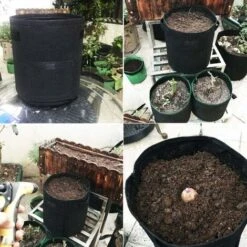 Home Balcony Garden Plant Bags For Plants And Vegetables, Potato Growing Container 30x30x35cm / 11.8x11.8x13.8 Inch Black - 1 Vegetable Grow Bag. 9 Home Balcony Garden Plant Bags For Plants And Vegetables, Potato Growing Container 30x30x35cm / 11.8x11.8x13.8 Inch Black - 1 Vegetable Grow Bag. -Vendite VIDAXL 30853571 5
