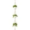 Macrame Plant Hanger 3 Tier Indoor Outdoor Hanging Plant Basket 177cm Corda Di Cotone Con Perline