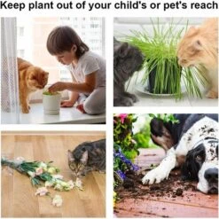 Pianta Sospesa, 4 Pezzi Vaso In Corda Di Cotone Porta Per Piante Da Appendere Decorazione Da Giardino Per Esterni Per Balcone Decorazione Da Giardino -Vendite VIDAXL 31781964 5