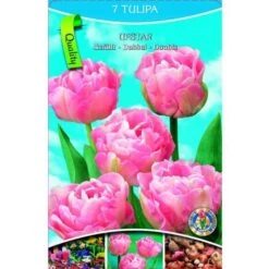 Bulbi Primaverili -Vendite VIDAXL 32105342 3