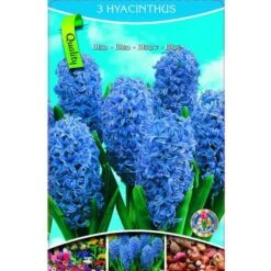 Bulbi Primaverili -Vendite VIDAXL 32105342 4