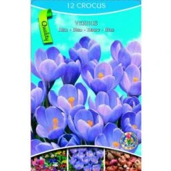 Bulbi Primaverili -Vendite VIDAXL 32105342 5