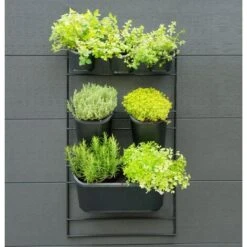 Set Fioriera Verticale Per Parete Da Giardino Nature -Vendite VIDAXL 32682622 4