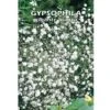 Gypsophila Gigante Bianca (Semente)