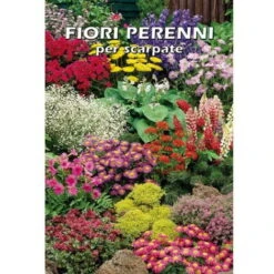 Fiori Perenni Per Scarpate In Miscuglio (Semente)