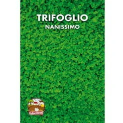Prato Trifoglio Nanissimo (Semente)