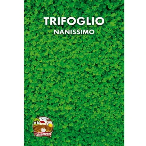 Prato Trifoglio Nanissimo (Semente) 1 Prato Trifoglio Nanissimo (Semente)