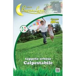 SEMI PRATO KG 1 'PRATO CALPESTABILE'