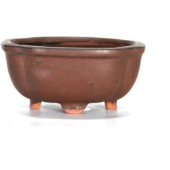 Vaso Bonsai A Nuvola 12 Cm Smaltato Bronzo