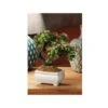 VASO BONSAI 19X16XH22CM IN 4 COLORI ASSORTITI