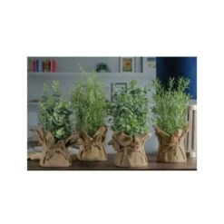 VASO IN JUTA CON PIANTINA D.12XH31CM IN 4 MODELLI