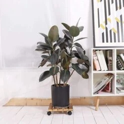 2 Pezzi Fioriera In Legno Naturale Mobile Per Piante, Supporto Per Vasi E Piante Rolling Con Bloccaggio Ruote Per Interni O Esterni,Quadrato 30 Cm -Vendite VIDAXL 46140922 3