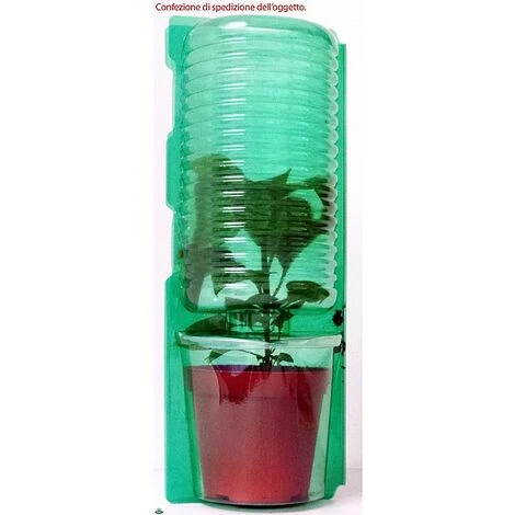1 PIANTA IN VASO Ø 14CM DI PEPERONCINO PICCANTE JALAPENO ORTOMIO 4 1 PIANTA IN VASO Ø 14CM DI PEPERONCINO PICCANTE JALAPENO ORTOMIO - immagine 4