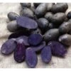 PATATA VIOLA FLEUR BLEUE 1,5KG PATATE DA ORTO GIARDINO TRAPIANTARE