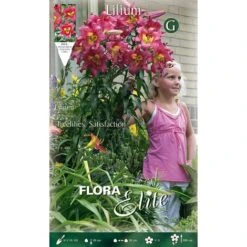 BULBI AUTUNNALI LILIUM GIGANTE SATISFACTION CONFEZIONE 2 BULBI BULBS BULBES