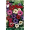 BULBI AUTUNNALI ANEMONE CORONARIA ST. BRIGID CONFEZIONE 20 BULBI BULBS BULBES