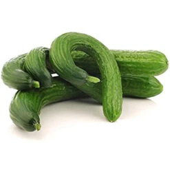 Semi Di Cetriolo Serpente Cinese Piante Per Orto E Giardino