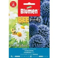 SEMI CARDO PALLOTTOLA ECHINOPS RITRO BLUMEN